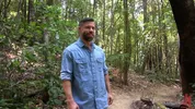 Dominação hard na floresta