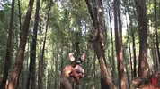 Dominação hard na floresta