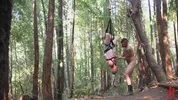 Dominação hard na floresta