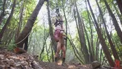 Dominação hard na floresta