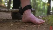 Dominação hard na floresta