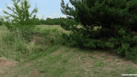 CH Nº 627 (bareback)