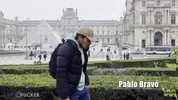 Polvo en el Louvre en París