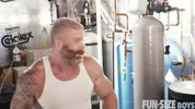 Um urso come um twink na academia
