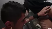 Décapiteur de fion de minet