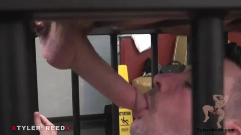 Rocco domine une lope en cage