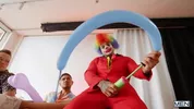 LE CLOWN STRIPPER — William Seed & Brent North