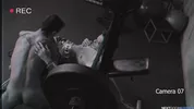 Fantasie in palestra — Kyle Wyncrest & Jayden Marcos