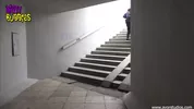 Potes obscènes