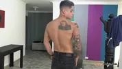 Gato brasileiro gostoso