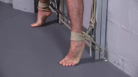 Michael Del Ray au service d'un sadique – Chapitre 7