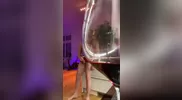 Tim Kruger: Omelette au sperme avec un verre de vin rouge