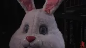 Un chaud lapin joue avec sa fuck machine