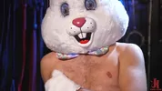 Un chaud lapin joue avec sa fuck machine