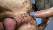 Scopata pelosa con il sexy Rob Hairy