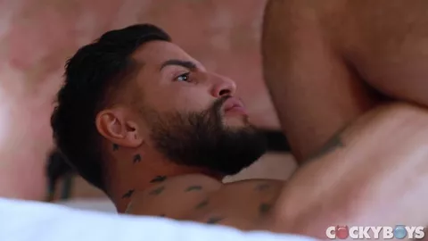 Glücklich verliebt – Brock Banks & Tayte Hanson