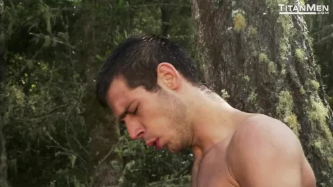 Compilation muskulöser Bears