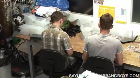 Trois minets accrocs au jus