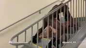 Follado por un chico negro en la escalera