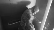 Sodomisé à sec par un étalon tatoué — Dylan James & Ethan Chase