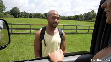 BaitBus : Du cash ou une pool party ?  – Andy Adler, Donovan Cox