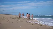 Hombres musculosos en una playa nudista