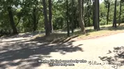 Pompino in un luogo di cruising
