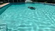 Tarde quente na piscina: sexo sem parar!