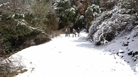 Manuel Skye & Andre Donovan dominieren Jackson Radiz & Drake Rogers