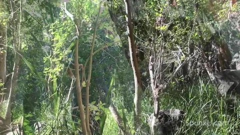 Oliver und Jordan zeigen sich und blasen im Wald