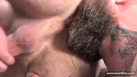 Gros culs gourmands de bears gays