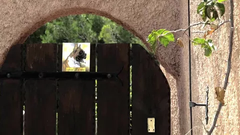 La villa delle perversioni — Daniel Karrington, Peter Polloc & Silas Rise