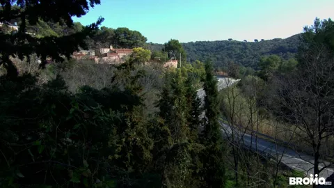 Sosie de Justin Bieber domine un daddy