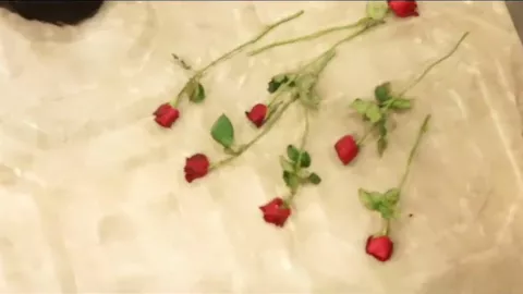 Belo Adônis tailandês