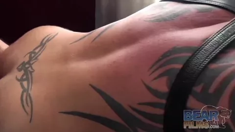 Osos calientes destrozados