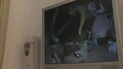 Dallas Evans, Xander Scott et Nicco Sky