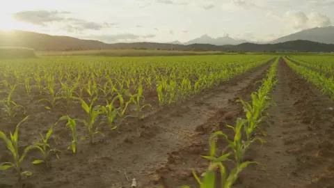 Ficken auf dem Bauernhof — Trevor Laster & Spencer Laval