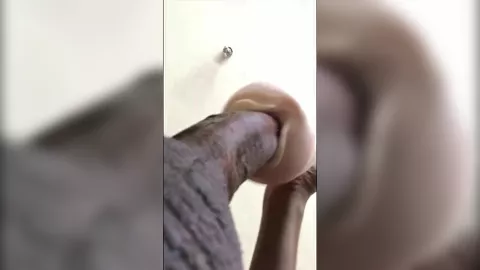 Cinque giorni di sperma nella mia Fleshlight