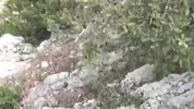 Fabian si gode il panorama mentre si sega durante un'escursione