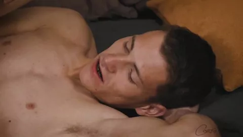 Os gatos Jack & Casey