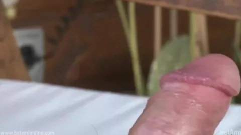 Piers Marini, modello della settimana BelAmi