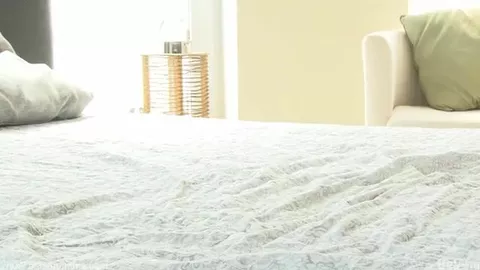 Hoyt Kogan & Orri Aasen