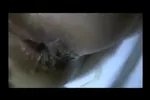 Best Of Bareback Beur Amateur - 40 minutes de sexe sans capote avec des arabes