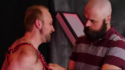 Pig passif se fait royalement honoré par un bear gay