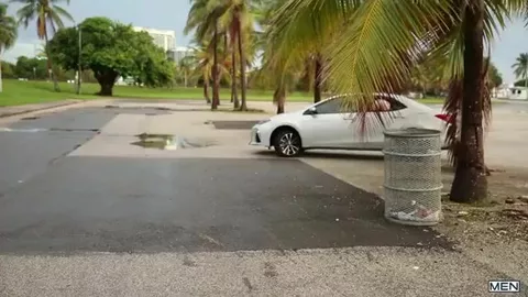 O exibicionista — Bo Hendrixx & Tobias