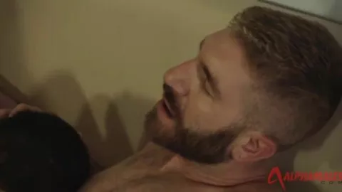 Mi chico quería un DP