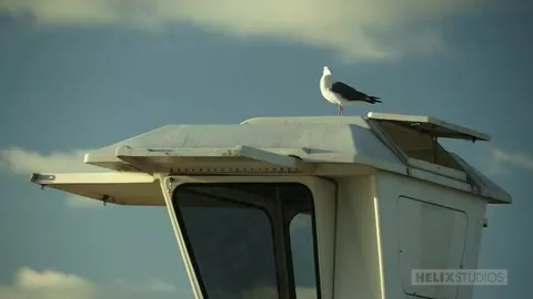 HelixStudios - Beach Bang - Evan Parker, Damien Wolfe