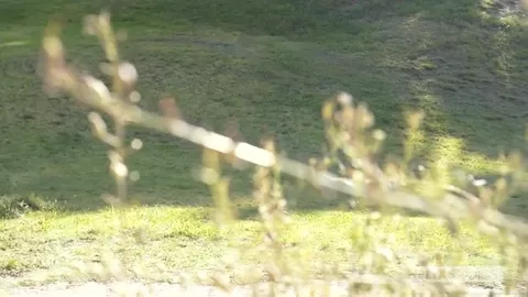 HelixStudios – Plan cul nature – Cooper Steel, Josh Bensan