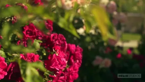 HelixStudios — ¡Móntate en mi polla!