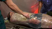 Bondage extremo: mamada envuelto en film
